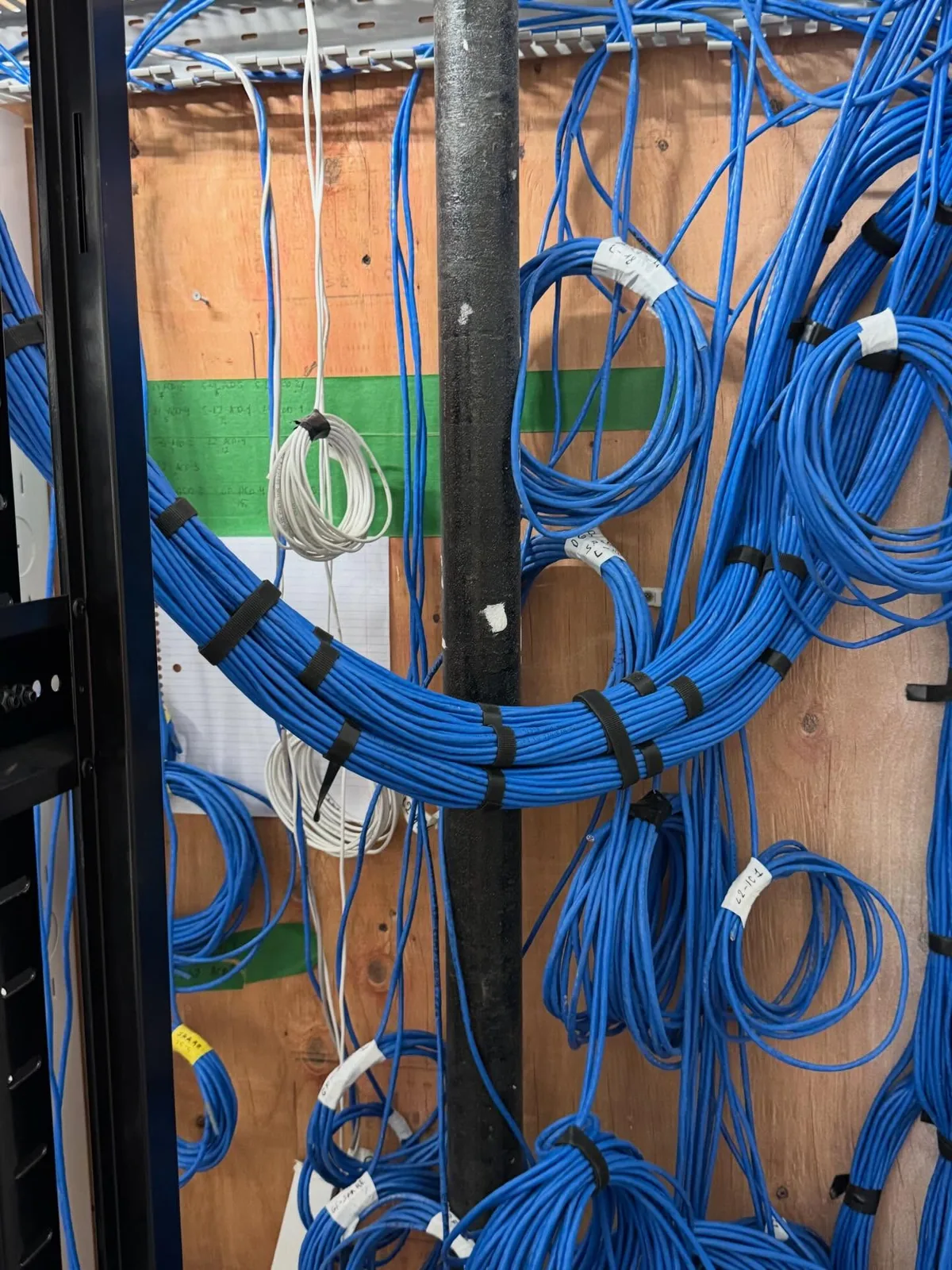 Blue Cat6 cable bundles routed and tied on a plywood backboard beside a rack