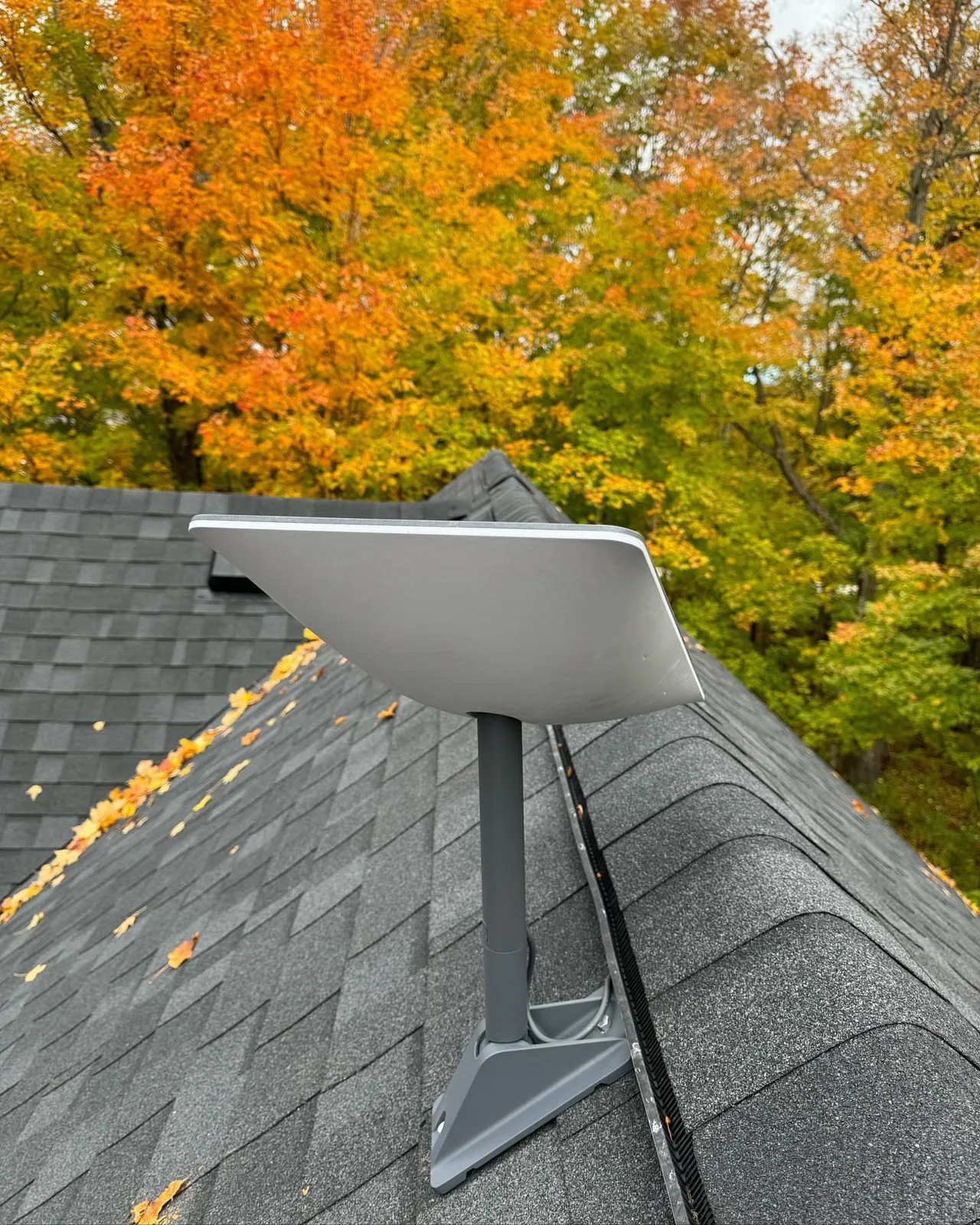 Starlink dish on a shingle roof beneath bright autumn maples in Creemore