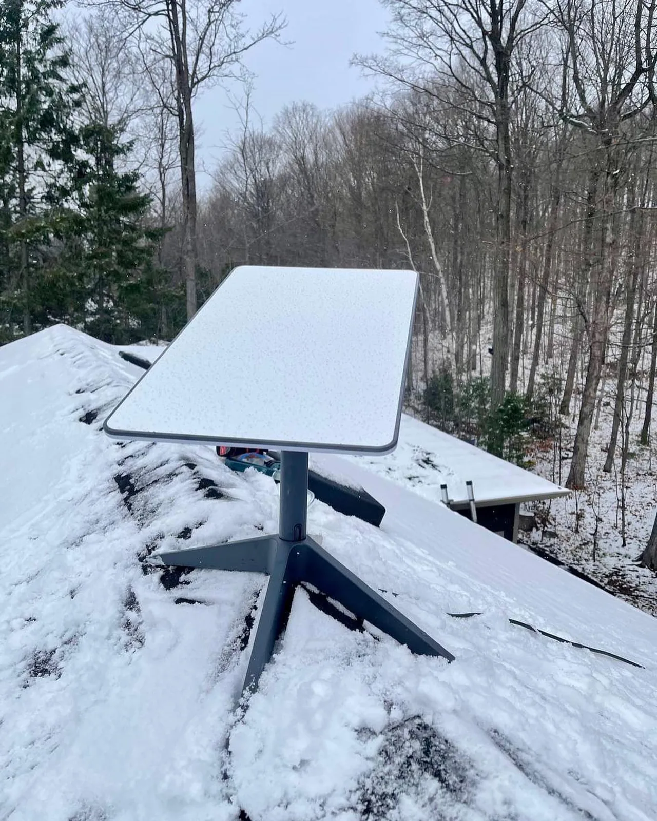 Starlink dish on a snowy roof with bare trees behind