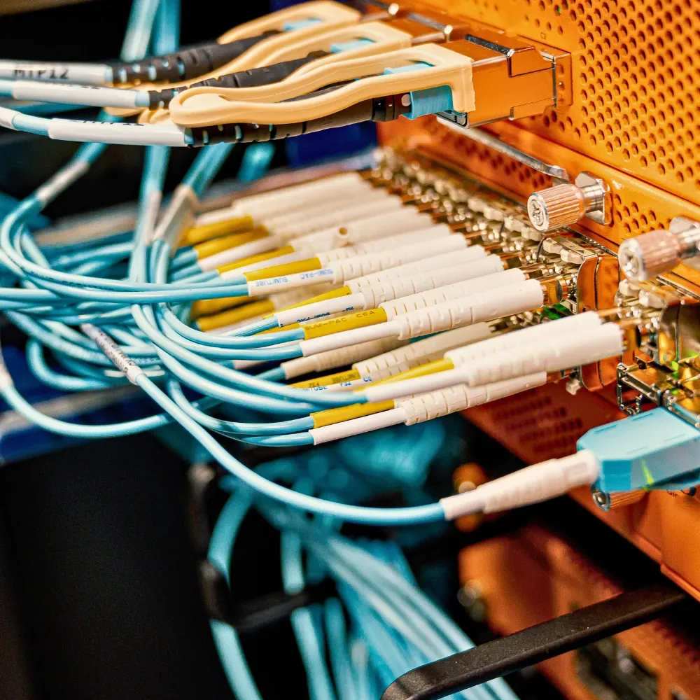 Fibre optic patch panel with blue jumpers connected