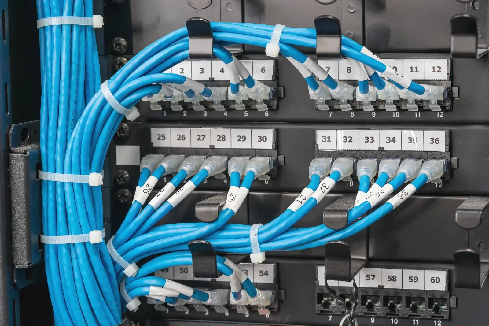 Patch panel with neatly labelled blue Ethernet cables in numbered ports
